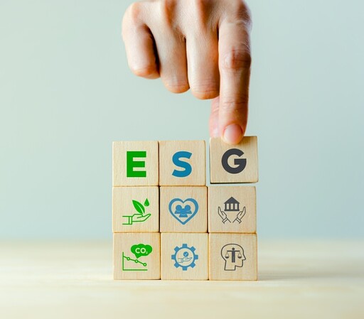 ESG Project examples